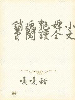 销魂艳婢小说免费阅读全文封面