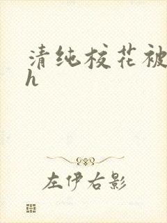 清纯校花被调教h