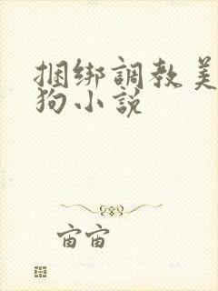 捆绑调教美女母狗小说