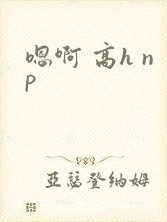 嗯啊 高h np