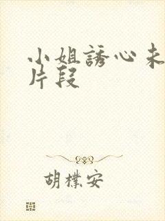 小姐诱心未删减片段