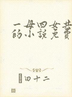 一母四女共一婿的小说免费阅读