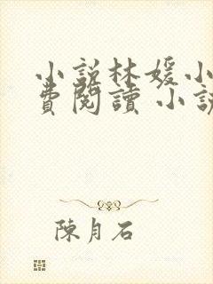 小说林媛小正免费阅读 小说封面