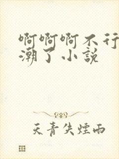 啊啊啊不行了高潮了小说