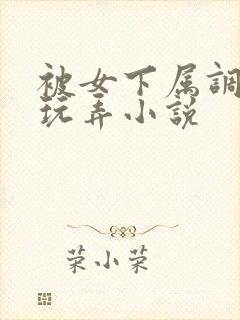 被女下属调教h玩弄小说封面