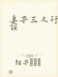 妻子三人行的小说