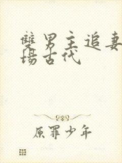 双男主追妻火葬场古代