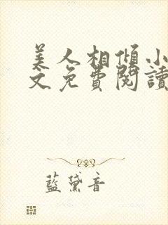 美人相倾小说全文免费阅读封面