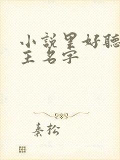 小说里好听的女主名字