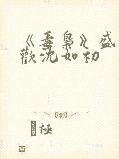 《毒枭》盛世清欢沈如初封面