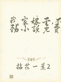 我家娘子,不对劲小说免费阅读