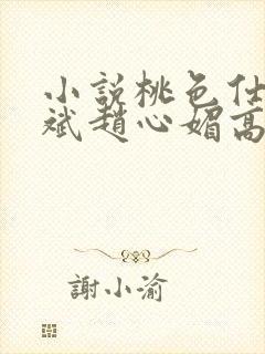 小说桃色仕途陈斌赵心媚高婉君