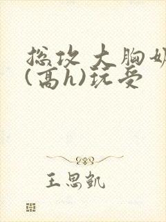 总攻 大胸奶汁(高h)玩受