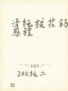 清纯校花的调教历程