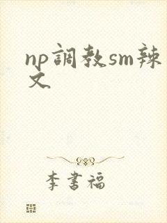 np调教sm辣文