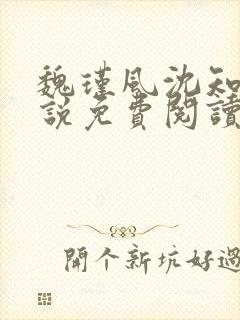 魏瑾风沈知玉小说免费阅读最新章节封面