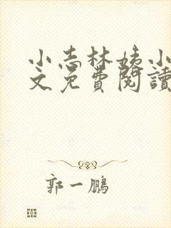 小志林姨小说全文免费阅读封面