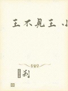 王不见王 小说封面