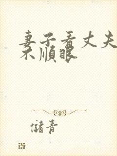 妻子看丈夫哪都不顺眼封面