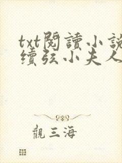 txt阅读小说续弦小夫人