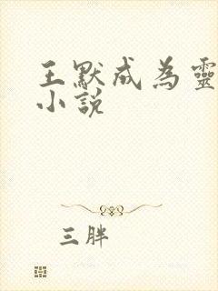 王默成为灵默的小说