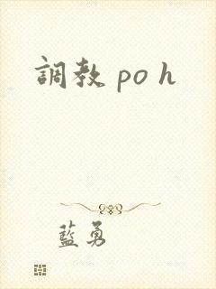 调教 po h