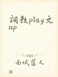 调教play文np