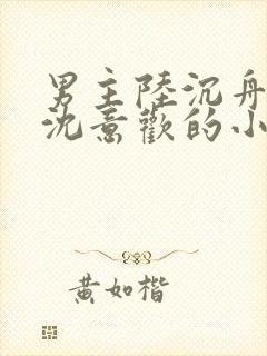 男主陆沉舟女主沈意欢的小说封面