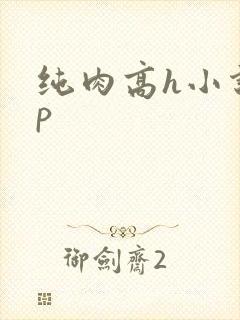 纯肉高h小说np
