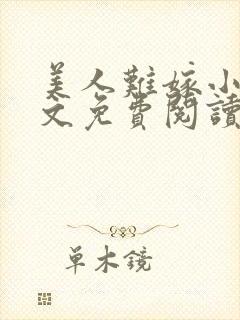 美人难嫁小说全文免费阅读封面