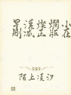 星汉灿烂小说无删减正版在线阅读