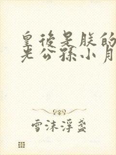 皇后是朕的黑月光公孙小月封面