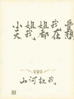 小姐姐我爱你每天我都在想你封面