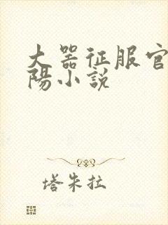 大器征服官场江阳小说