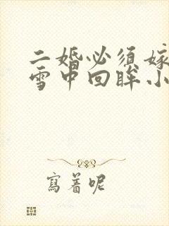 二婚必须嫁太子雪中回眸小说