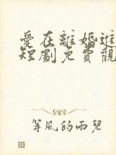 爱在离婚进行时短剧免费观看全集