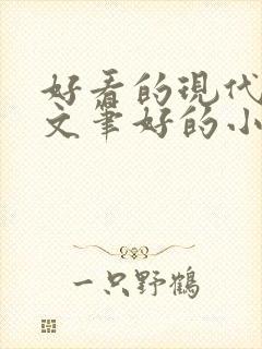 好看的现代言情文笔好的小说