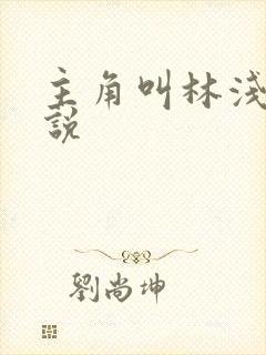 主角叫林浅的小说