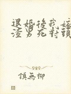 退婚后我嫁给了渣男死对头