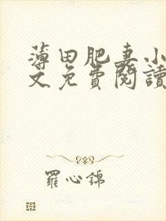 薄田肥妻小说全文免费阅读封面