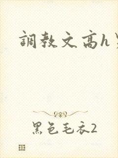 调教文高h男男