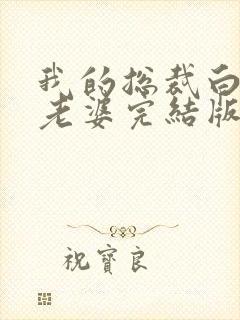 我的总裁白富美老婆完结版封面