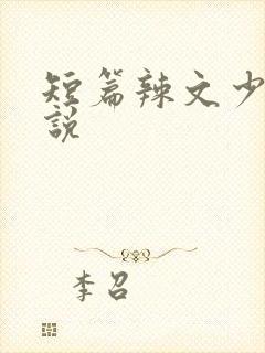 短篇辣文少妇小说