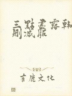 三点尽露韩国未删减版封面