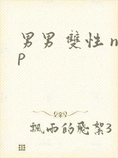 男男 双性 np
