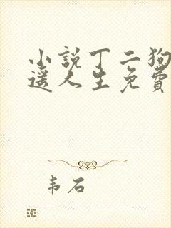 小说丁二狗的逍遥人生免费阅读