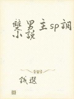 双男主sp调教小说