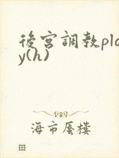 后宫调教play(h)