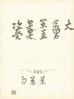 攻是军区大佬,受是直男封面