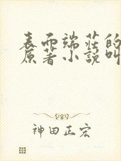 表面端庄的妈妈原著小说叫什么名字